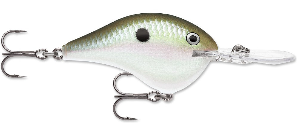 Rapala DT Series Crankbait DT8