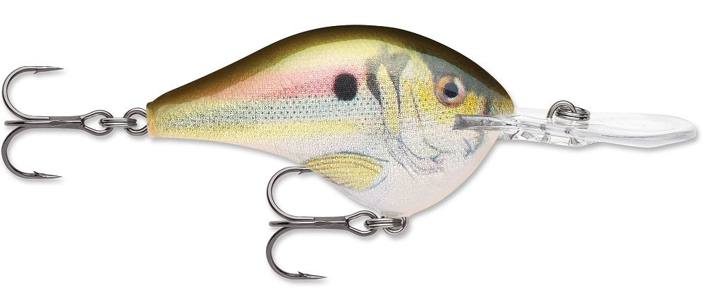 Rapala DT Series Crankbait DT8