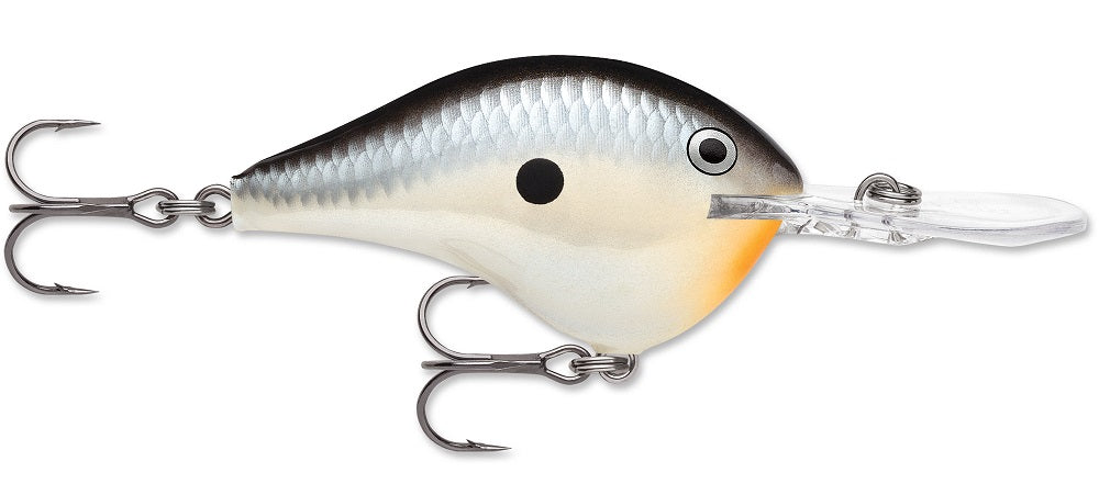 Rapala DT Series Crankbait DT8