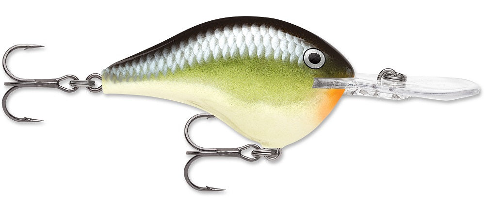 Rapala DT Series Crankbait DT8