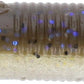 Gary Yamamoto Ned Senko 3 inch worm