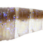 Gary Yamamoto Zako 3 inch Soft Plastic Swimbait