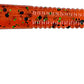 Gary Yamamoto 5 inch Kut Tail Worm 10 pack