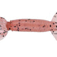 Gary Yamamoto 5 inch Double Tail Hula Grub 10 pack