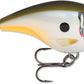 Rapala BX Brat 06 Square Bill Crankbait
