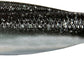 Z-Man DieZel MinnowZ 5 inch Paddle Tail Swimbait 4 pack