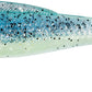 Z-Man MinnowZ 3 inch Soft Plastic Paddle Tail Swimbait 6 pack