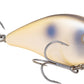 Strike King KVD 2.5 Wake Bait Waking Crankbait