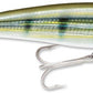 Rapala SXR-14 X-Rap Saltwater 5 1/2 inch Rip Bait