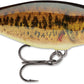Rapala Shad Rap 2 inch Medium Diving Crankbait SR05