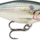 Rapala Shad Rap 2 inch Medium Diving Crankbait SR05