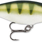 Rapala Shad Rap 2 inch Medium Diving Crankbait SR05