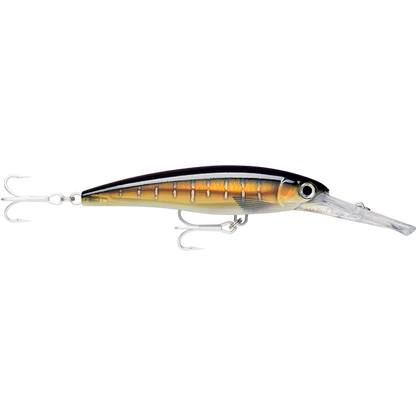 Rapala X-Rap Magnum 10 Lure