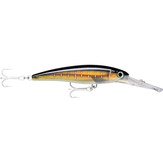 Rapala Husky Magnum 25 Trolling Lure — Discount Tackle