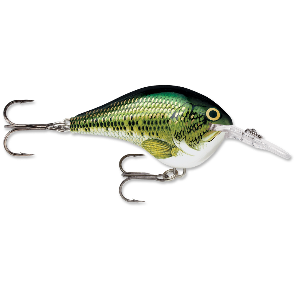 Rapala DT Series Crankbait DT6