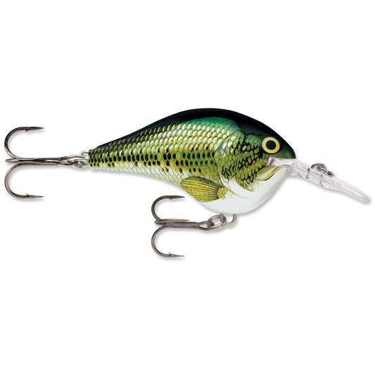 Rapala DT Series Crankbait DT6