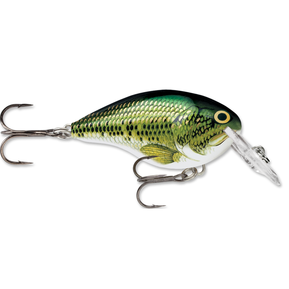 Rapala DT Series Crankbait DT4