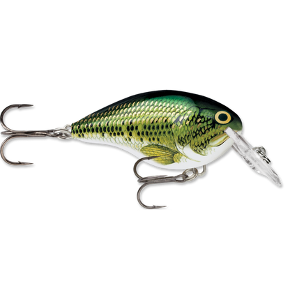 Rapala DT Series Crankbait DT4