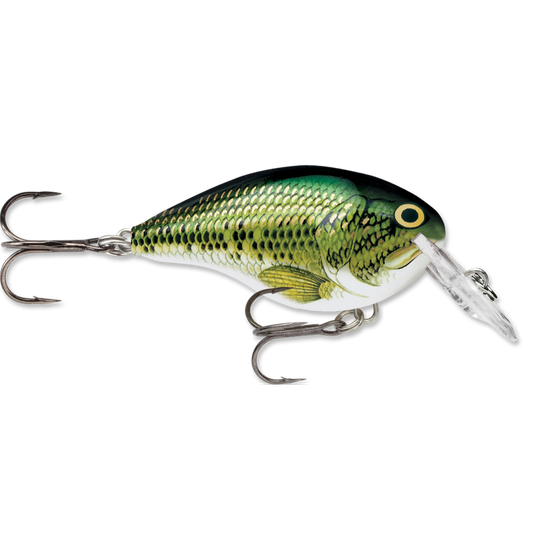 Rapala DT Series Crankbait DT4