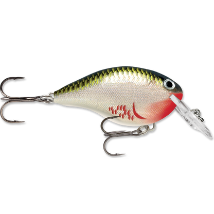 Rapala DT Series Crankbait DT4