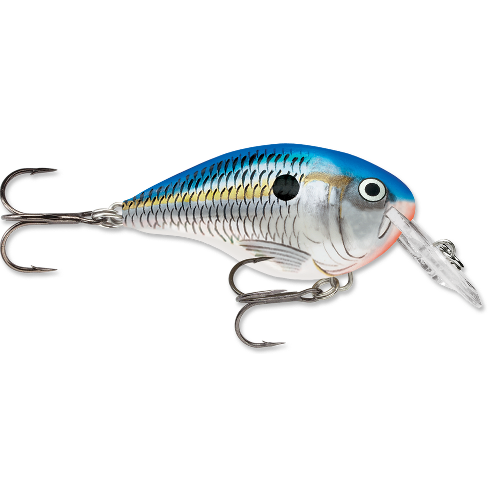 Rapala DT Series Crankbait DT4