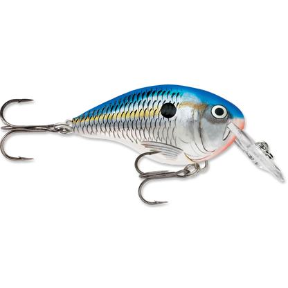 Rapala DT Series Crankbait DT4