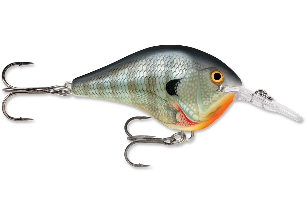 Rapala DT Series Crankbait DT6