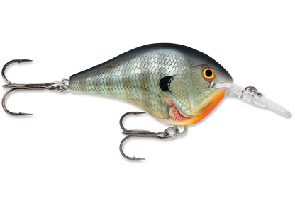 Rapala DT Series Crankbait DT6