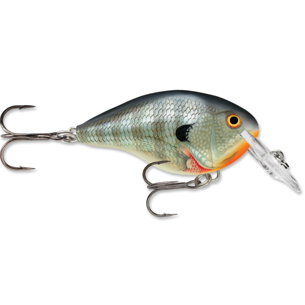 Rapala DT Series Crankbait DT4