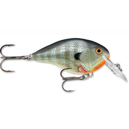 Rapala DT Series Crankbait DT4