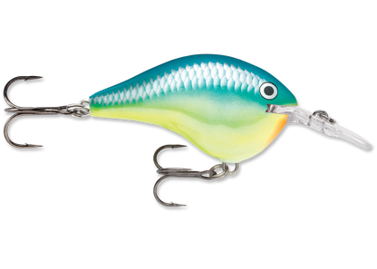 Rapala DT Series Crankbait DT6