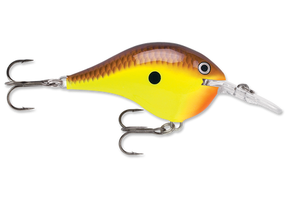 Rapala DT Series Crankbait DT6