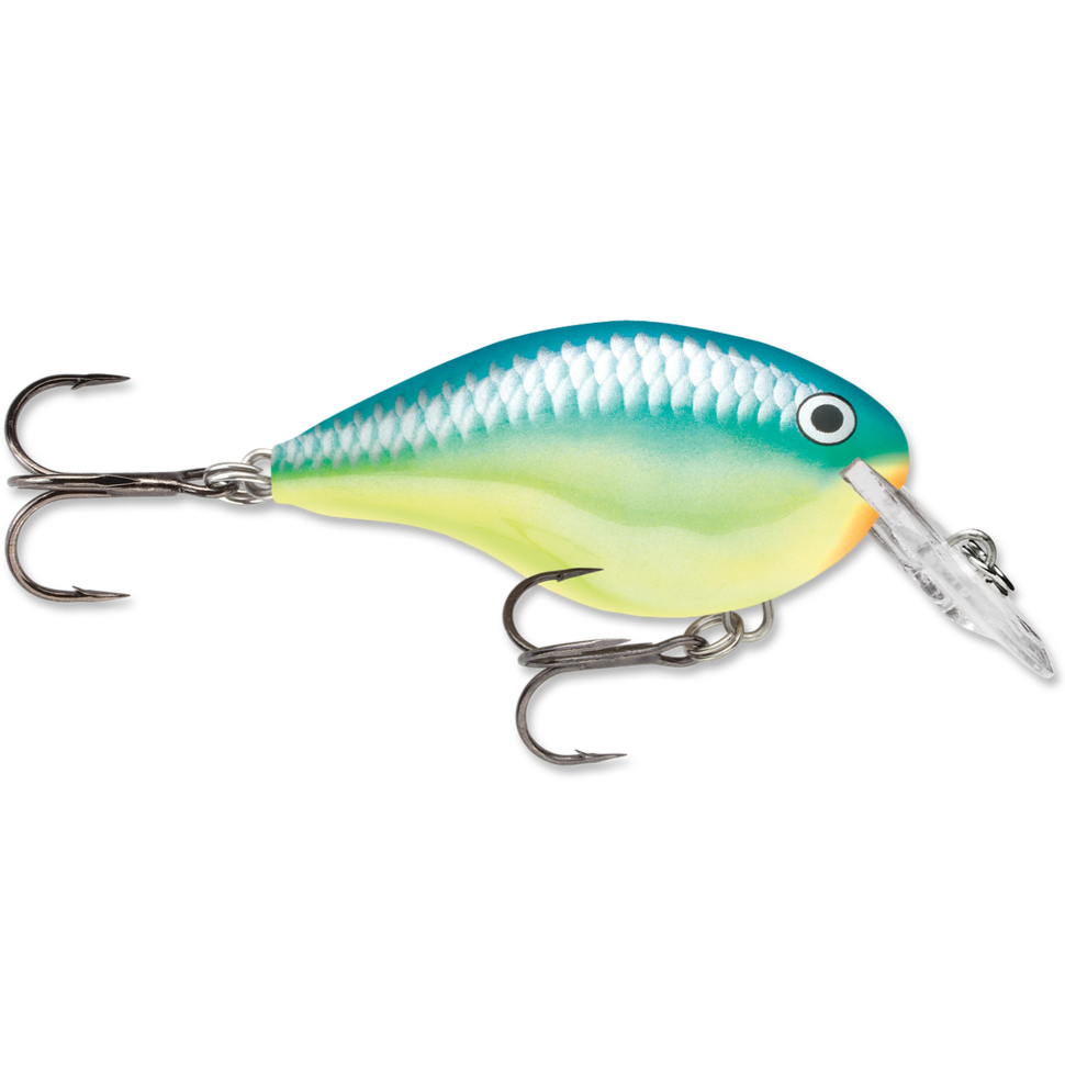 Rapala DT Series Crankbait DT4