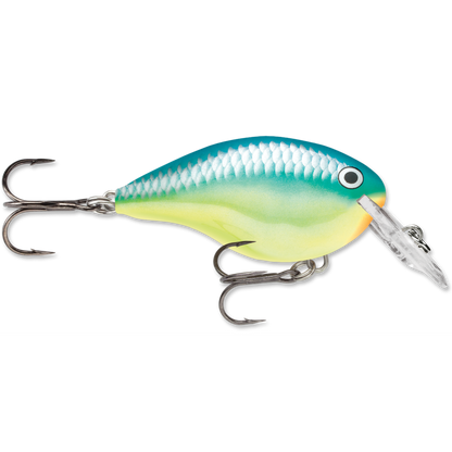 Rapala DT Series Crankbait DT4