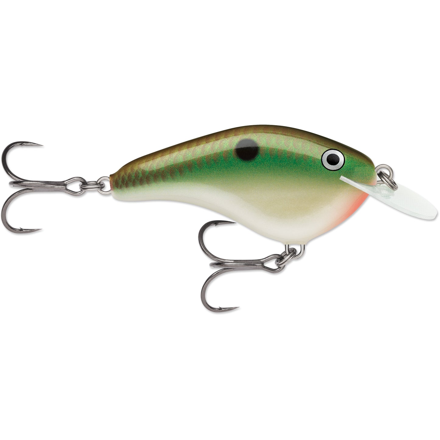 Rapala OG Slim 06 Medium Diving Flat-Sided Crankbait