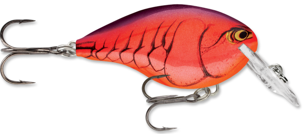 Rapala DT Series Crankbait DT4