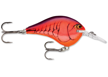 Rapala DT Series Crankbait DT6