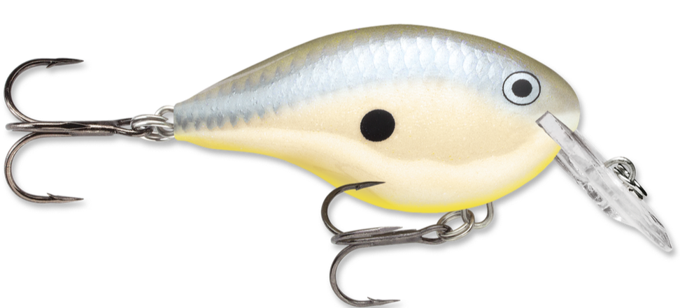 Rapala DT Series Crankbait DT4