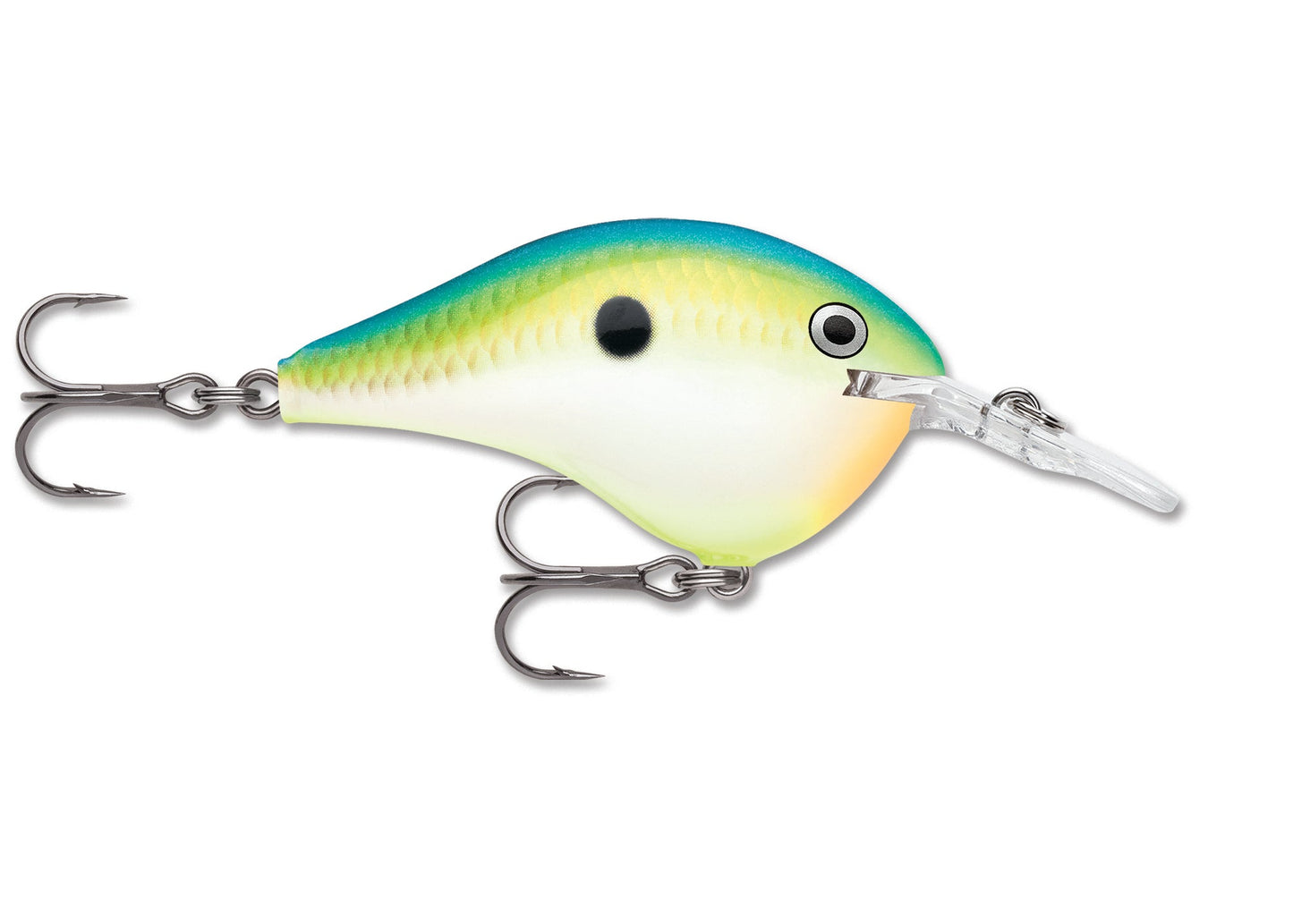 Rapala DT Series Crankbait DT6