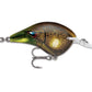 Rapala DT Series Crankbait DT6
