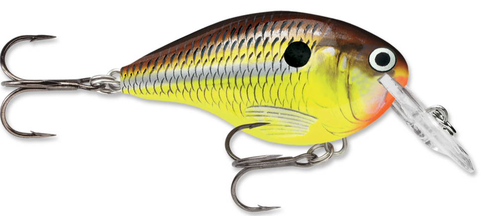 Rapala DT Series Crankbait DT4