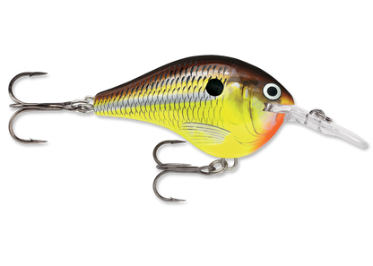 Rapala DT Series Crankbait DT6