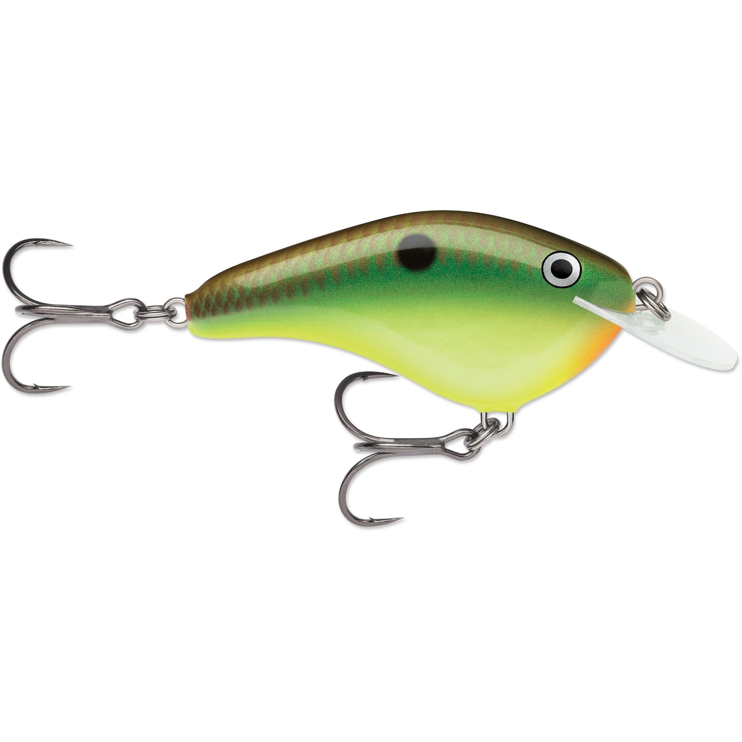 Rapala OG Slim 06 Medium Diving Flat-Sided Crankbait