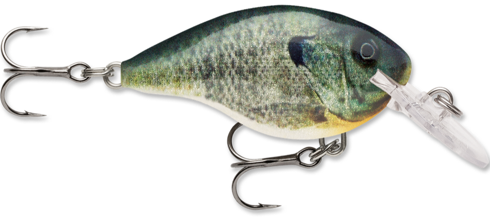 Rapala DT Series Crankbait DT4