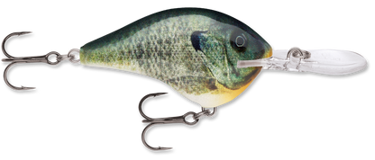 Rapala DT Series Crankbait DT10
