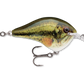 Rapala DT Series Crankbait DT6