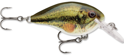 Rapala DT Series Crankbait DT4