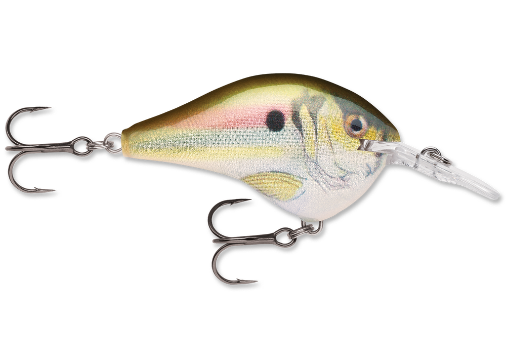 Rapala DT Series Crankbait DT6