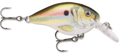 Rapala DT Series Crankbait DT4