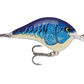 Rapala DT Series Crankbait DT6